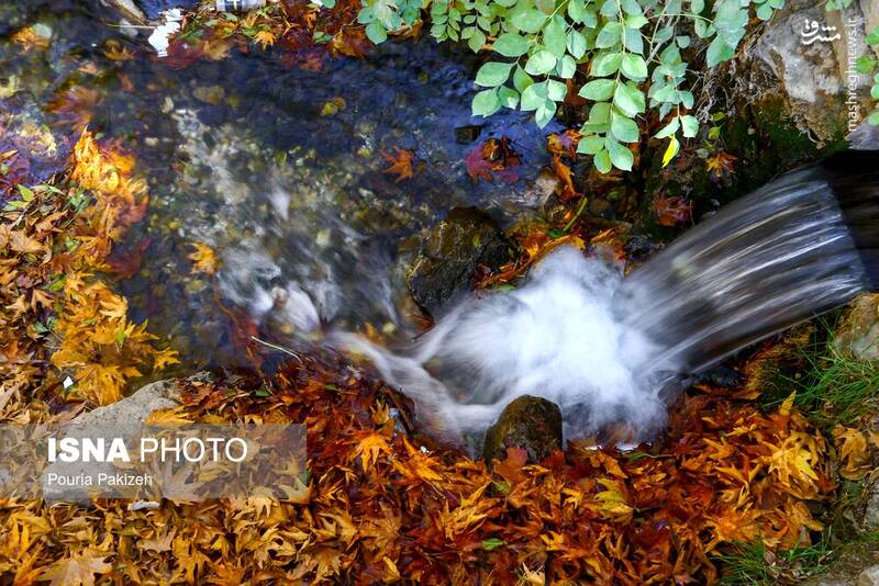 عکس/ طبیعت زیبای پاییز در نهاوند