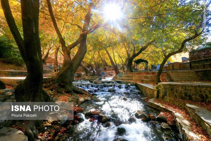 عکس/ طبیعت زیبای پاییز در نهاوند