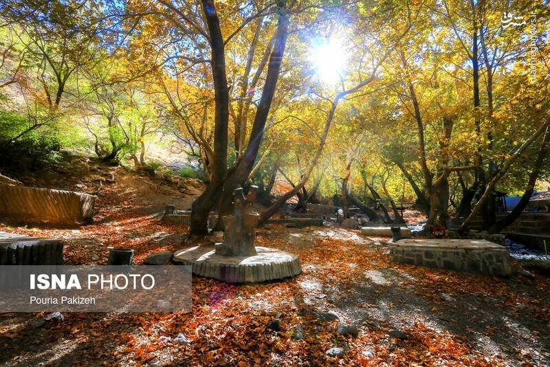 عکس/ طبیعت زیبای پاییز در نهاوند