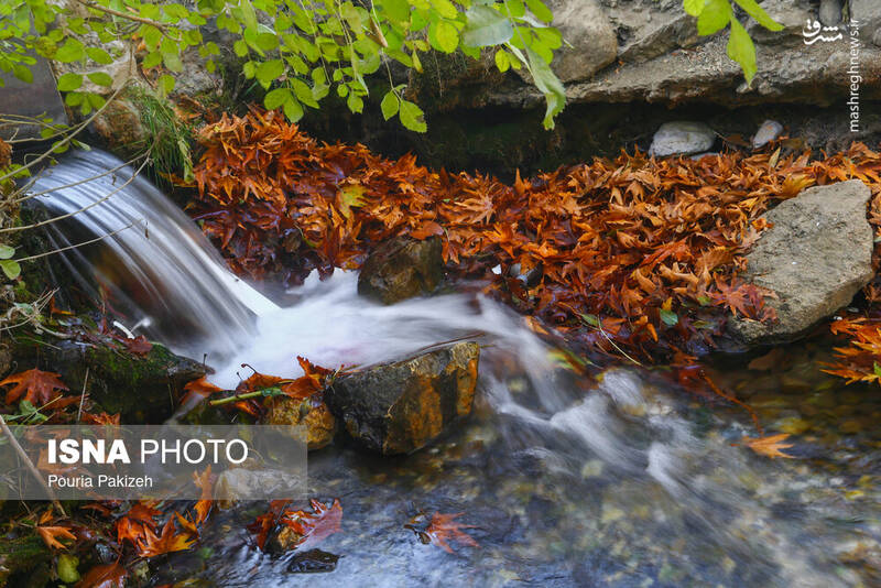 عکس/ طبیعت زیبای پاییز در نهاوند
