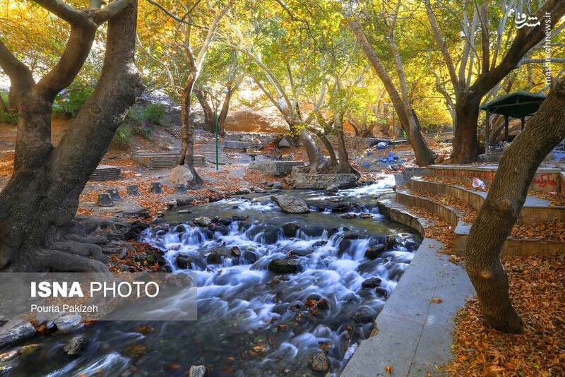 عکس/ طبیعت زیبای پاییز در نهاوند