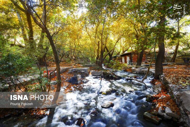 عکس/ طبیعت زیبای پاییز در نهاوند