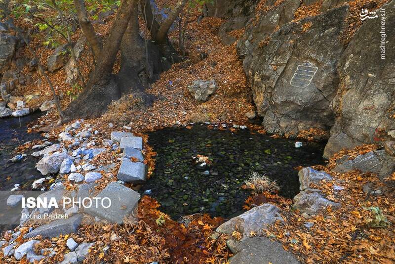 عکس/ طبیعت زیبای پاییز در نهاوند