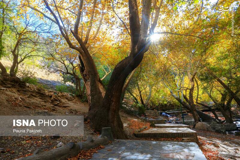 عکس/ طبیعت زیبای پاییز در نهاوند