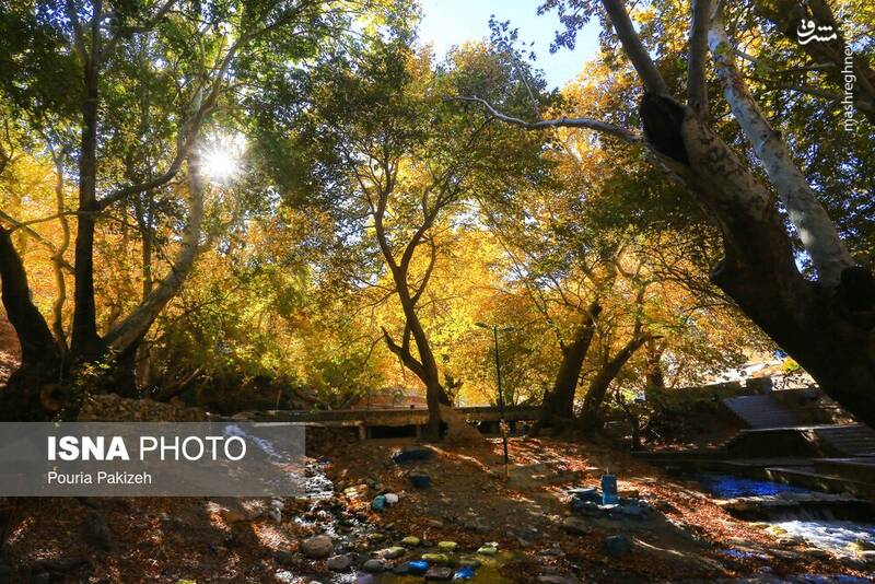 عکس/ طبیعت زیبای پاییز در نهاوند