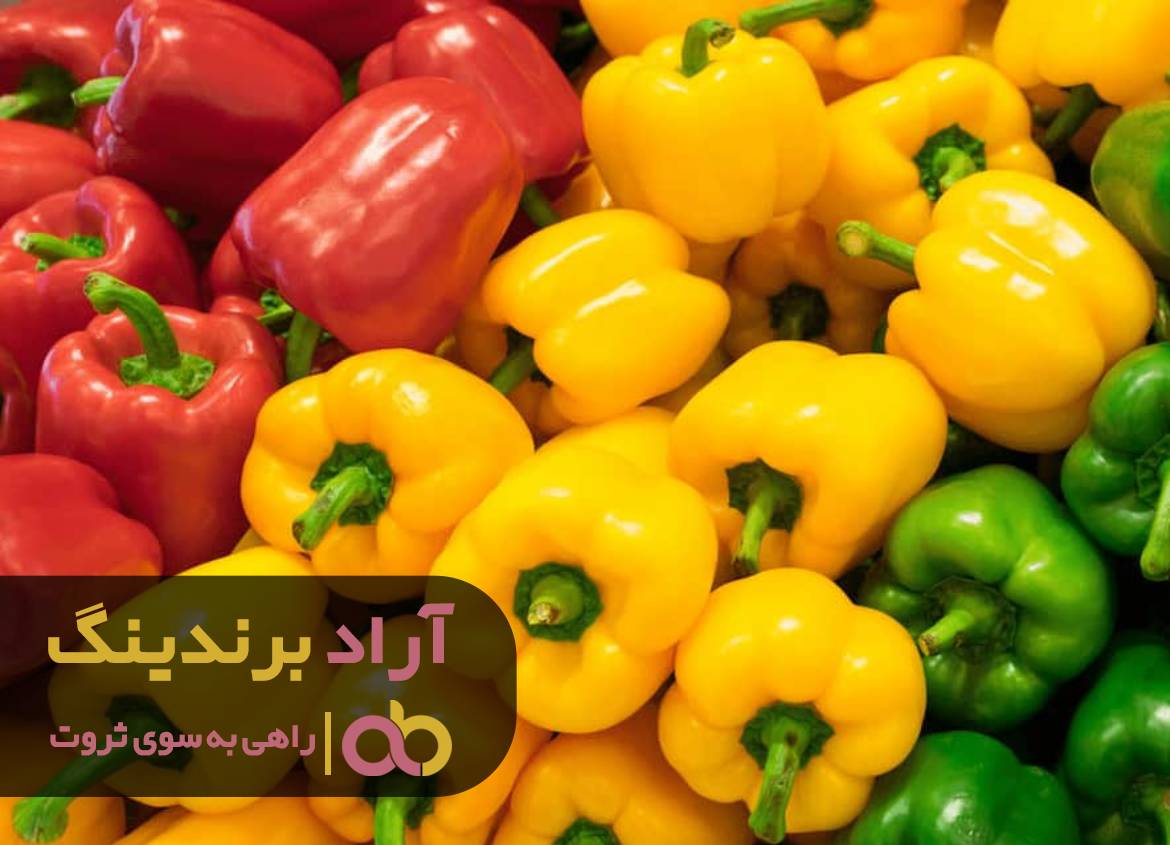 سرعت ثروتمند شدنم با فلفل بیشتر شد