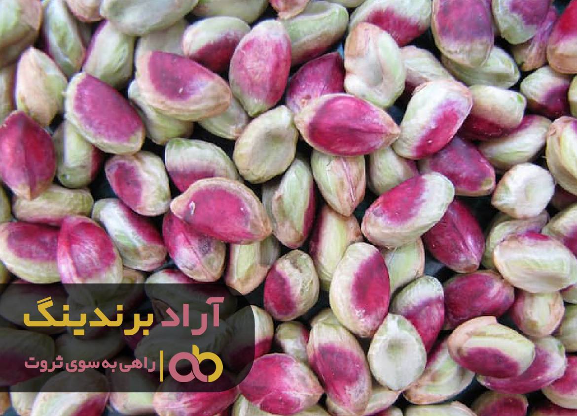 با پسته خندان درهای ثروت به روی من گشوده شد!