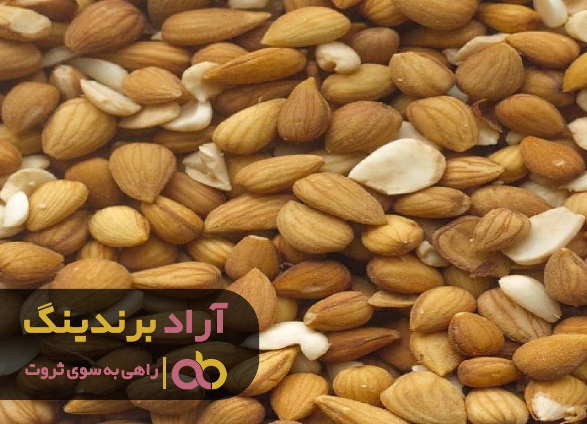 موفقیت و ثروت را بادام به من هدیه کرد