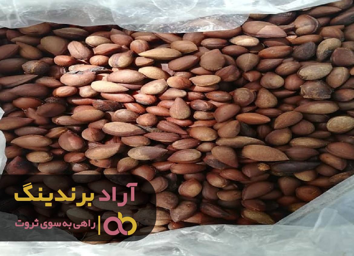 موفقیت و ثروت را بادام به من هدیه کرد