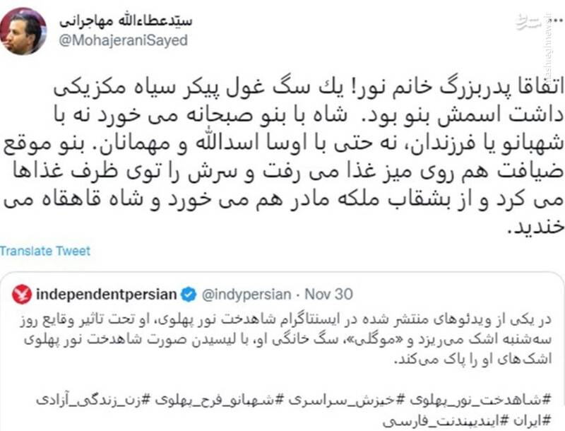 واکنش مهاجرانی به لیس زدن نور پهلوی توسط سگ