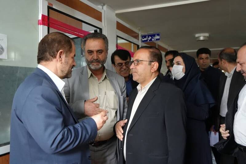 گوجه در بازار خریدار ندارد! 3