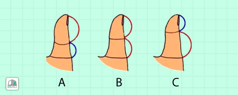از روی انگشتان دست خود بفهمید چه شخصیتی دارید