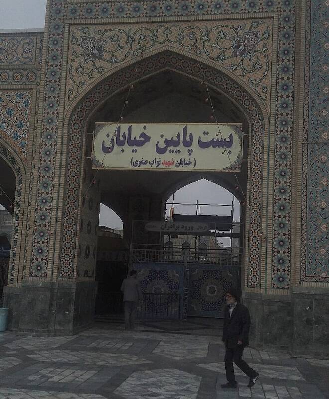 میهمان شاه خراسان/ تو کیستی؟ شریک غم اهل عالمی!