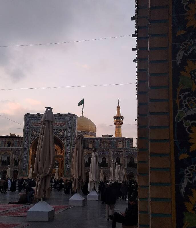 میهمان شاه خراسان/ تو کیستی؟ شریک غم اهل عالمی!