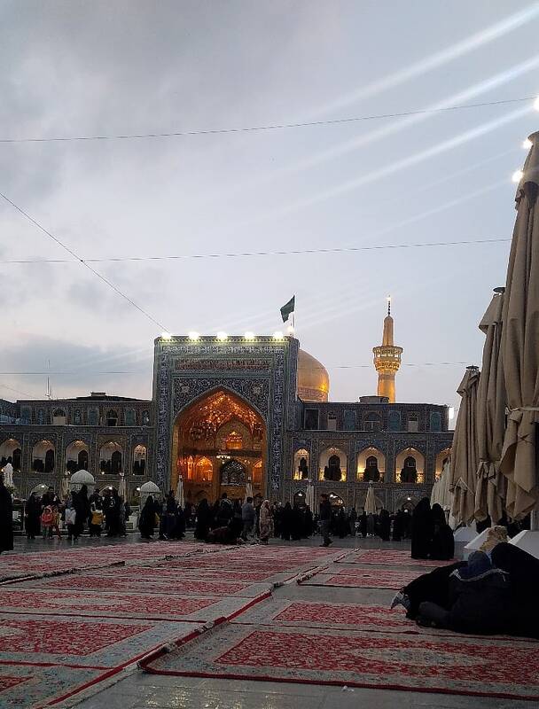 میهمان شاه خراسان/ تو کیستی؟ شریک غم اهل عالمی!