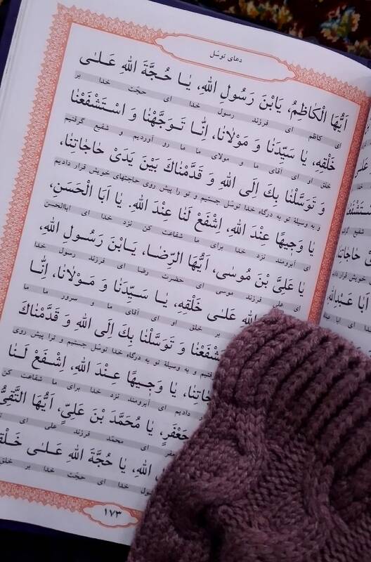 میهمان شاه خراسان/ تو کیستی؟ شریک غم اهل عالمی!