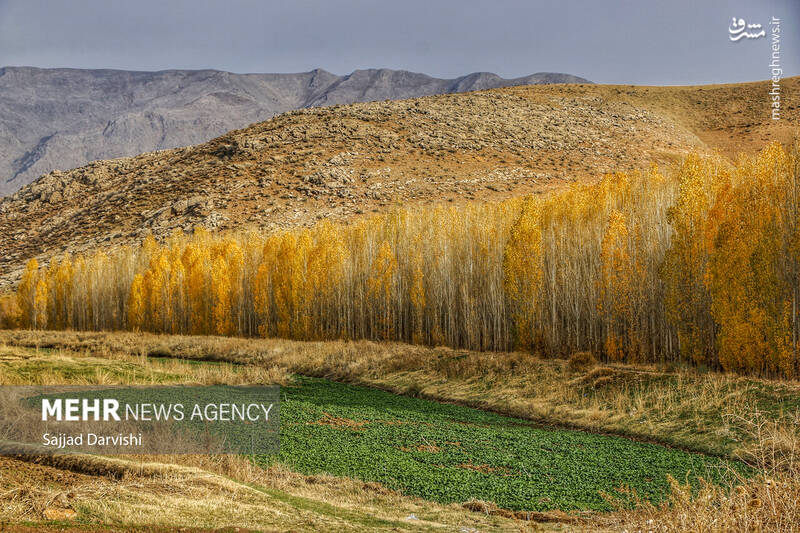 عکس / طبیعت زیبای پاییزی لرستان 2