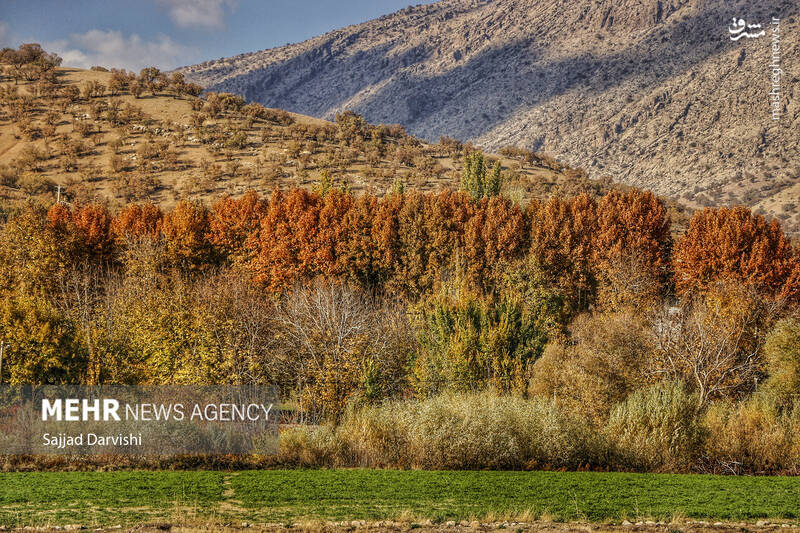 عکس / طبیعت زیبای پاییزی لرستان 7
