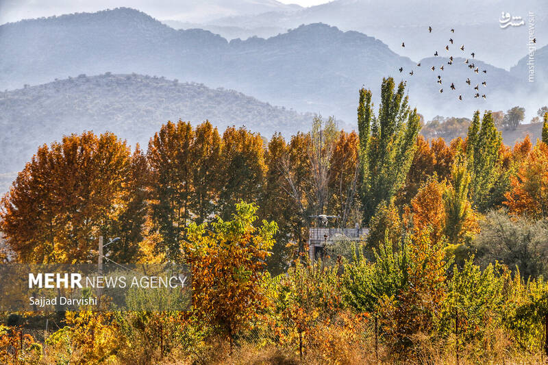 عکس / طبیعت زیبای پاییزی لرستان 10