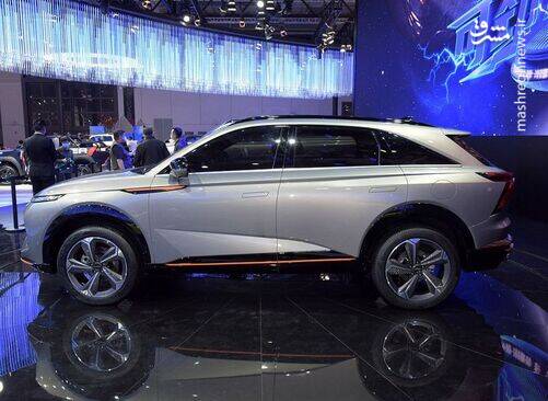 هاوال مانستر؛ هیولای بی آزار چینی +عکس