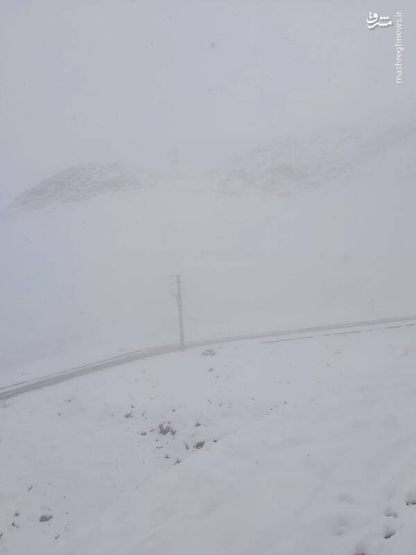 عکس/ بارش برف و مه گرفتگی در پردیس