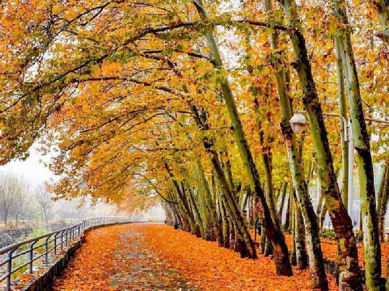 بلیط هواپیمای مشهد چه زمانی ارزان می شود