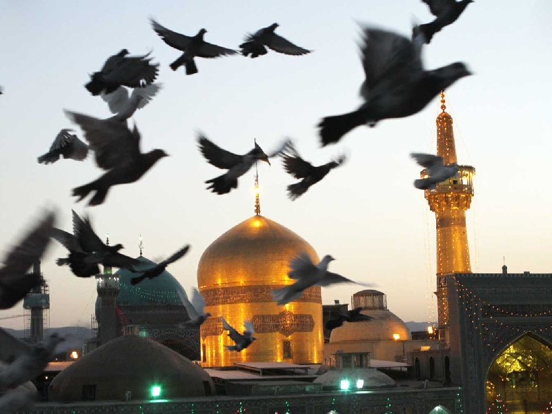 بلیط هواپیمای مشهد چه زمانی ارزان می شود