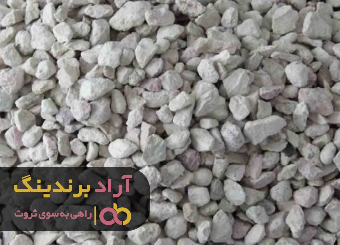 چطور مسیر ثروتمند شدن را هموار کردم