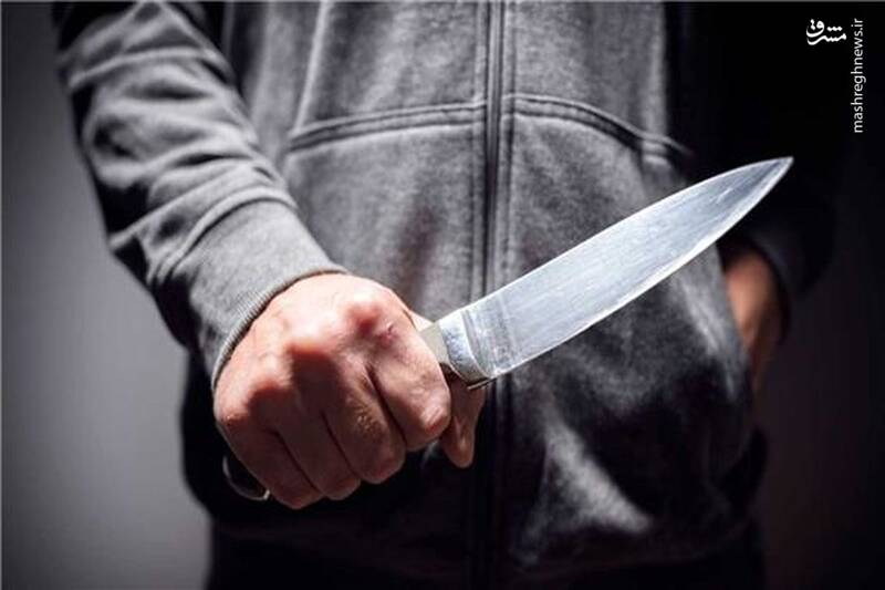 اینفوگرافیک/ سلاخ‌های امنیت