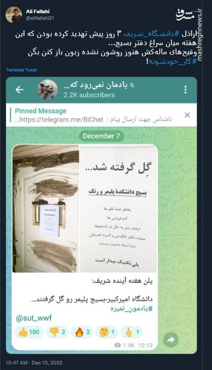 هنوز روشون نشده زبون باز کنن بگن کارخودشونه؟