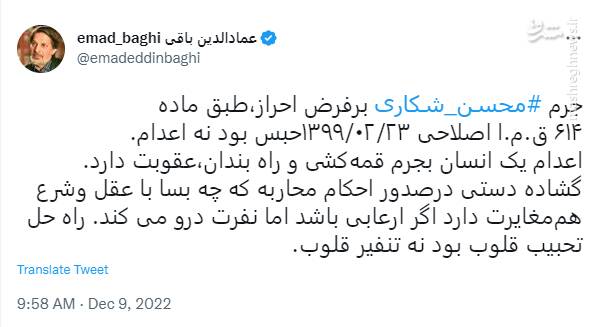بررسی حقوقی حکم محاربه «شیطان» خیابان ستارخان / محسن شکاری چرا اعدام شد؟ 4