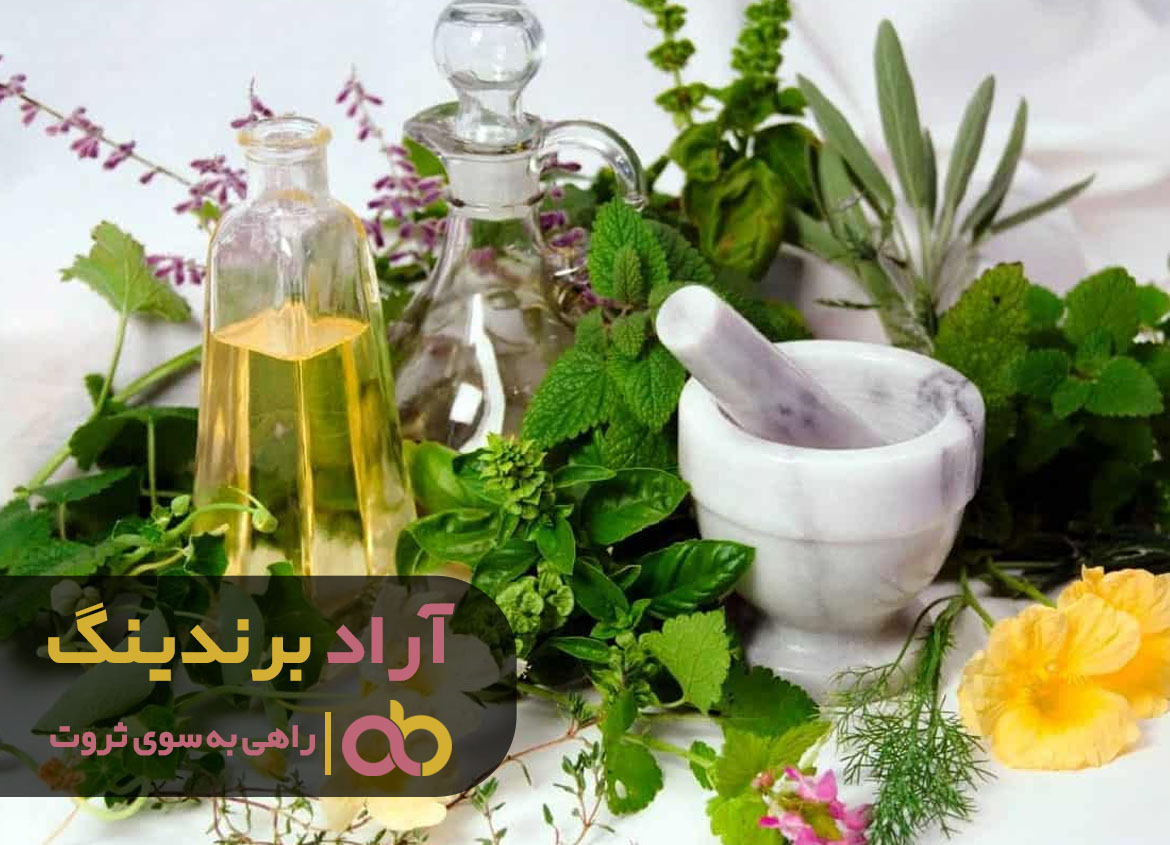 با آموزش رسیدن به ثروت تضمین شده است