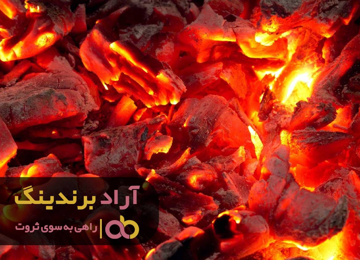 در کسب و کارم جنگل ثروت را پیدا کردم