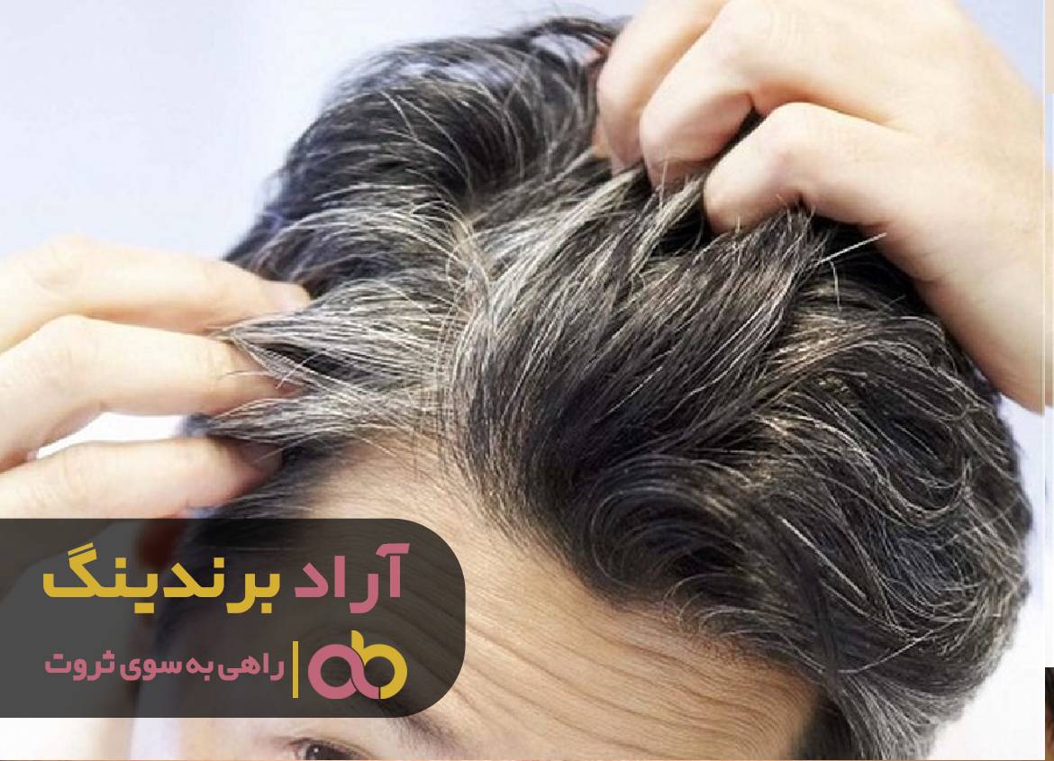 در کسب و کارم جنگل ثروت را پیدا کردم