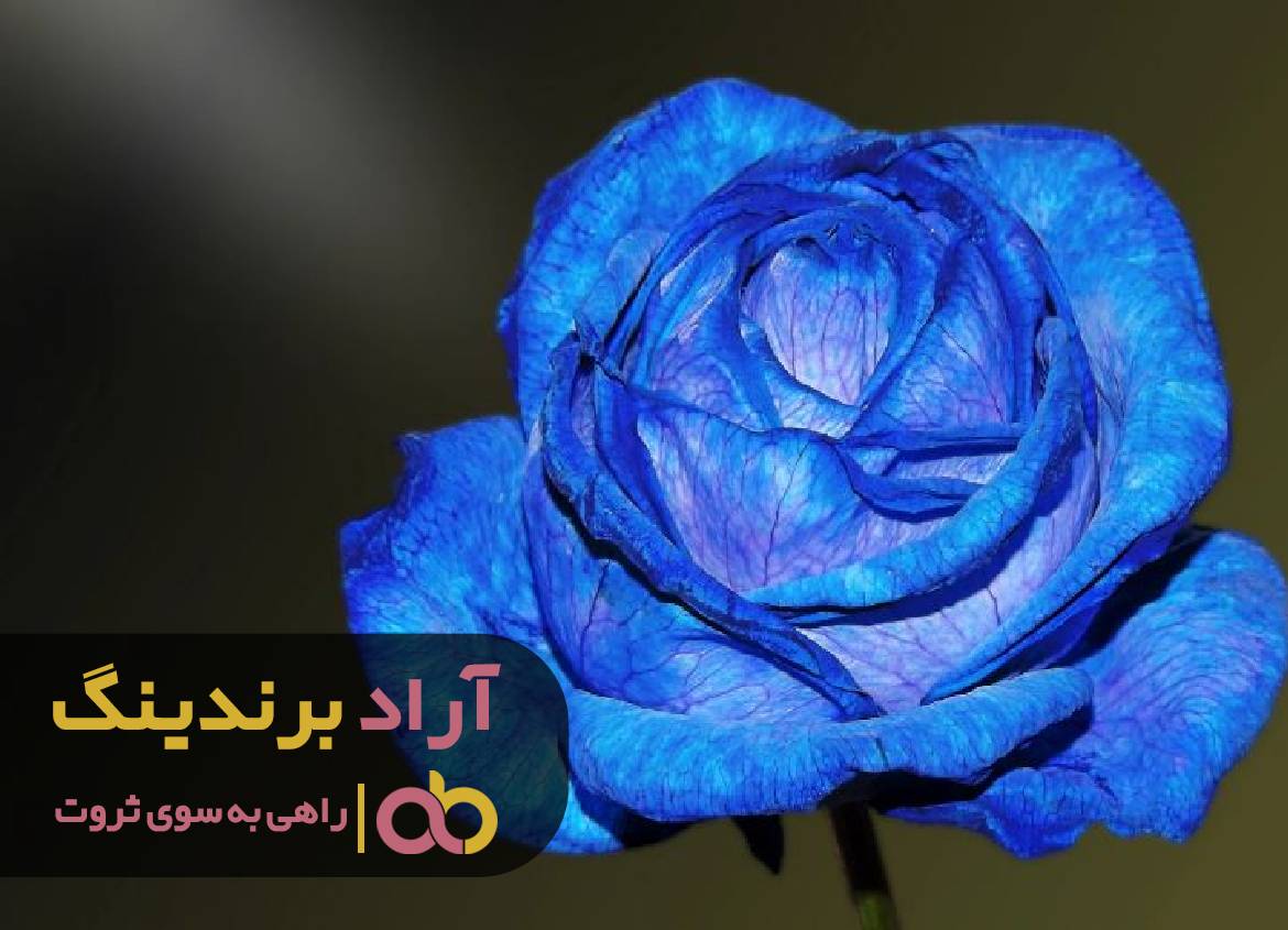 ساده ترین ترفند ها برای پولسازی چیست