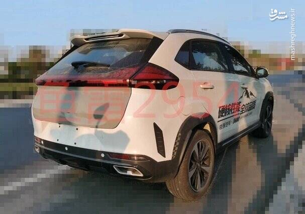 محصول جدید چری اومودا در چین +عکس