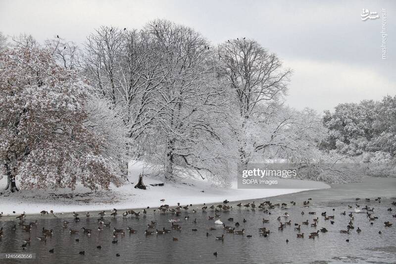 عکس/ اسکاتلند یخ زد