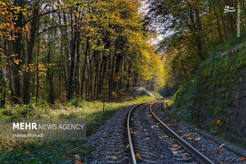 عکس/ مسیر رویایی راه آهن شمال