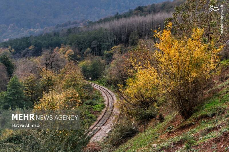 عکس/ مسیر رویایی راه آهن شمال
