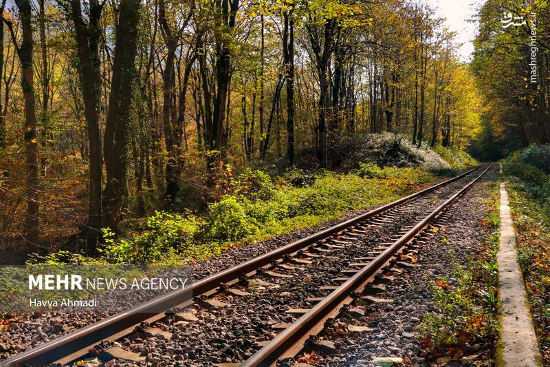 عکس/ مسیر رویایی راه آهن شمال