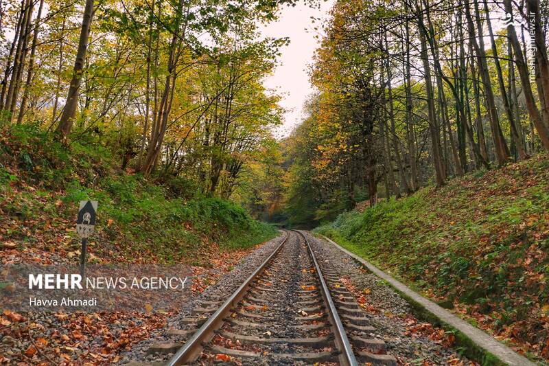 عکس/ مسیر رویایی راه آهن شمال