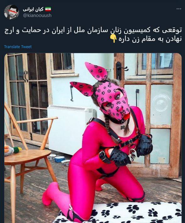 واکنش کاربران به حذف ایران از کمیسیون مقام زن + عکس 12