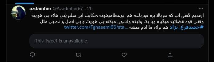 درخواست عمومی برای برخورد با سلبریتیهای فرصتطلب و اسپانسرهای آنان/ زندگی هنری حمید فرخنژاد هم به پایان رسید +تصاویر