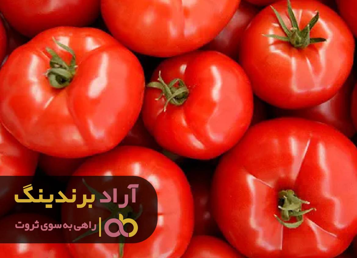 سوار بر کشتی موفقیت در دریای ثروت