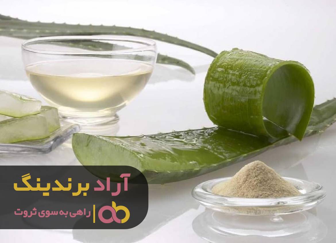 از ریسمان موفقیت بالا رفتم و ثروتمند شدم