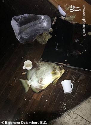 تصاویر جدید از ترکیدن آکواریوم غولپیکر برلین