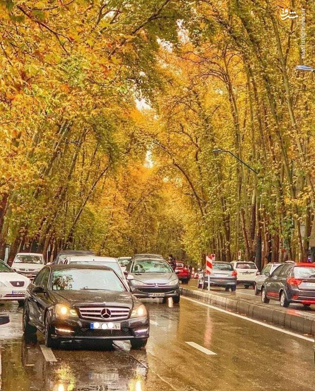 عکس/ نمایی دیدنی از ولیعصر پاییزی