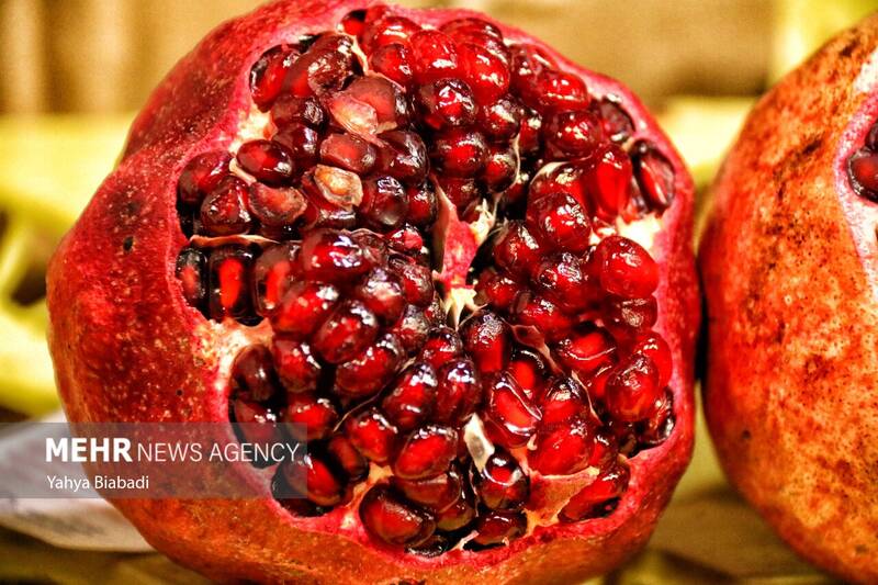پويش،نوجوانان،انار،مجازي،باستاني،برف
