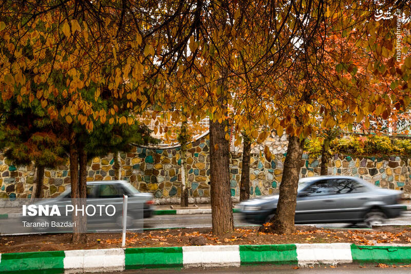 عکس / آخرین ردپای پاییز در خرمآباد 6