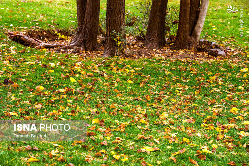 عکس / آخرین ردپای پاییز در خرمآباد 11